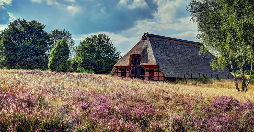 Die Lüneburger Heide